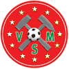 Wappen von Vatanspor Meggen 2000