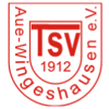 TSV 1912 Aue-Wingeshausen II