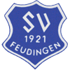 SV 1921 Feudingen II
