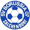 Wappen von SV Borussia 07 Salchendorf