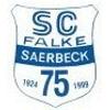 SC Falke Saerbeck 1924 IV