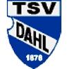TSV Dahl 1878 II