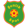 Senlik-Spor Castrop