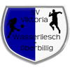 SV Viktoria Wasserliesch-Oberbillig 1919