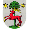 SV 1920 Oberwiesen