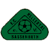 Wappen von FC Hellertal Sassenroth