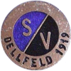 Wappen von SV Dellfeld 1919