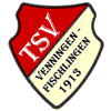 TSV Venningen-Fischlingen 1913