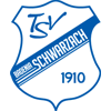 TSV Badenia 1910 Schwarzach II