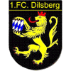 1. FC Dilsberg II