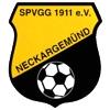 SpVgg 1911 Neckargemünd