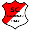 SC Blumenau