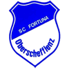 SC Fortuna Oberschefflenz II