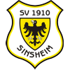 SV 1910 Sinsheim