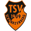 TSV 1909 Schwarzenberg II