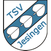 TSV Jesingen 1899 II