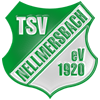 TSV Nellmersbach 1920 II