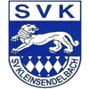 SV Kleinsendelbach