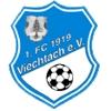 1. FC 1919 Viechtach