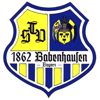 TSV 1862 Babenhausen III