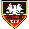 TSV Gochsheim 1906 III