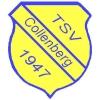TSV Collenberg 1947 II