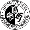 SV Hammerschmiede II