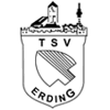 FC Erding II