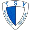 TSV Weidenbach-Triesdorf II