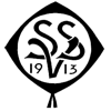 Wappen von SpVgg Selb 1913