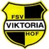 FSV Viktoria 53 Hof II