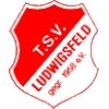 TSV Ludwigsfeld München II