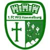 1. FC 1913 Hammelburg