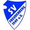 SV Freudenberg 1949 II