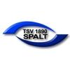 TSV 1890 Spalt II