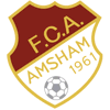 FC Amsham 1961