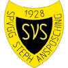 Spvgg Stephansposching 1928