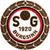 Wappen von SG 1920 Burgsinn