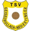 TSV Geiselbullach Neu-Esting II