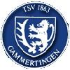 TSV Gammertingen 1863 II