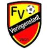 FV Veringenstadt 2001