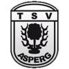 TSV Asperg II