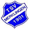 TSV Merklingen 1901 III