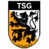 Wappen von TSG Leonberg 1849