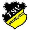 TSV Michelfeld