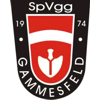 SpVgg Gammesfeld 1974