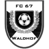 Wappen von FC 67 Waldhof Mannheim