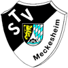 TSV Meckesheim 1901