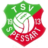 TSV 1913 Spessart