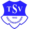 TSV Gestungshausen 1902 II